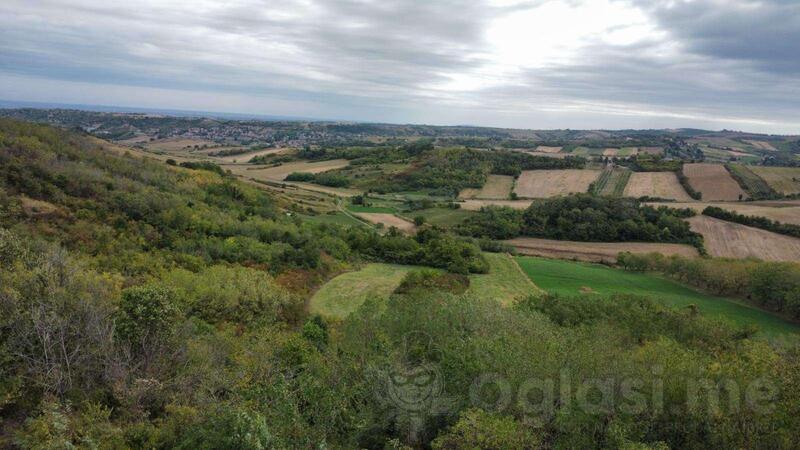Poljoprivredno zemljište 12000m2 - Novi Sad - Novi Sad