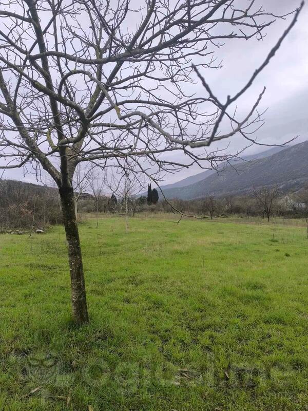 Poljoprivredno zemljište 4000m2 - Danilovgrad - Frutak