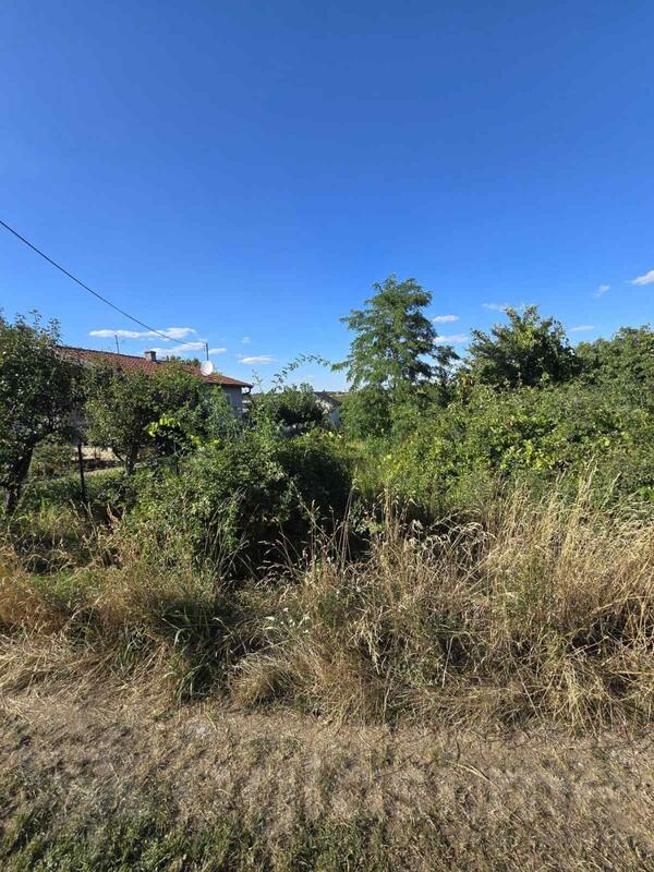 Građevinsko zemljište 6100m2 - Inđija - Čortanovci