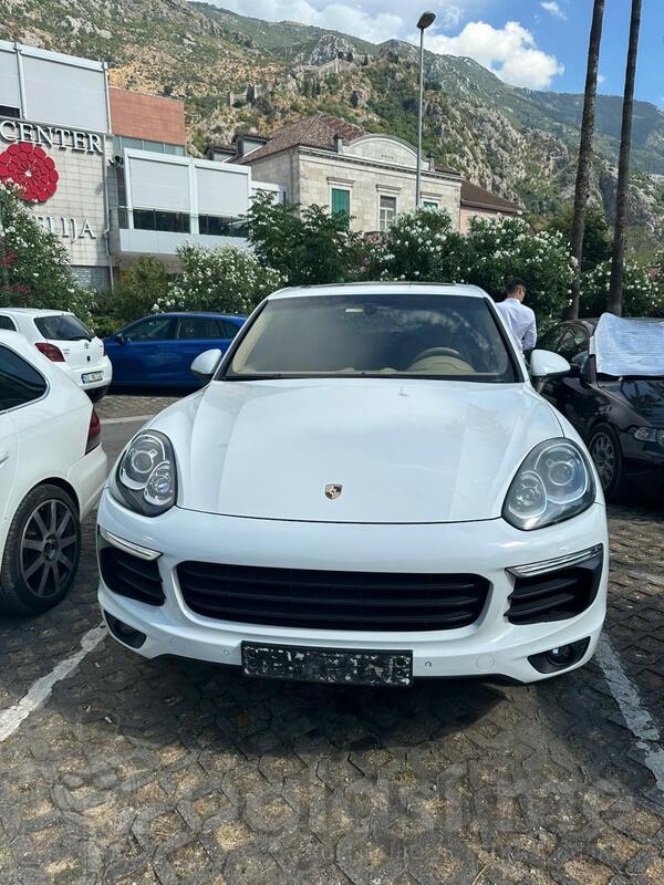 Automotive Sales &Operations Assistant