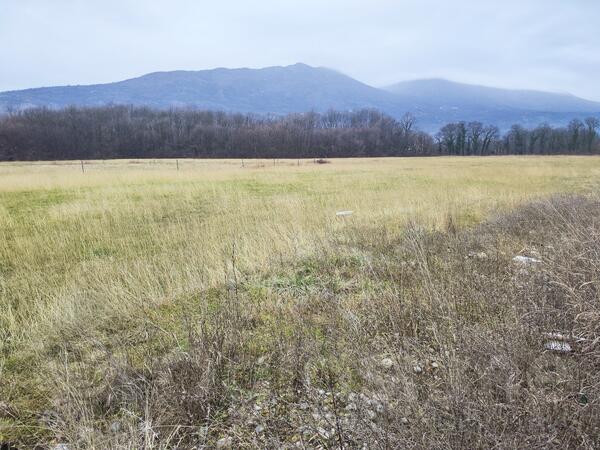 Industrijsko zemljište 19200m2 - Danilovgrad - Begovina