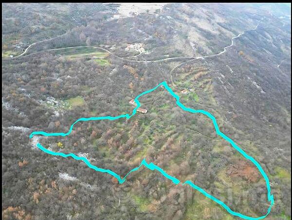 Poljoprivredno zemljište 60000m2 - Danilovgrad - Lazarev Krst