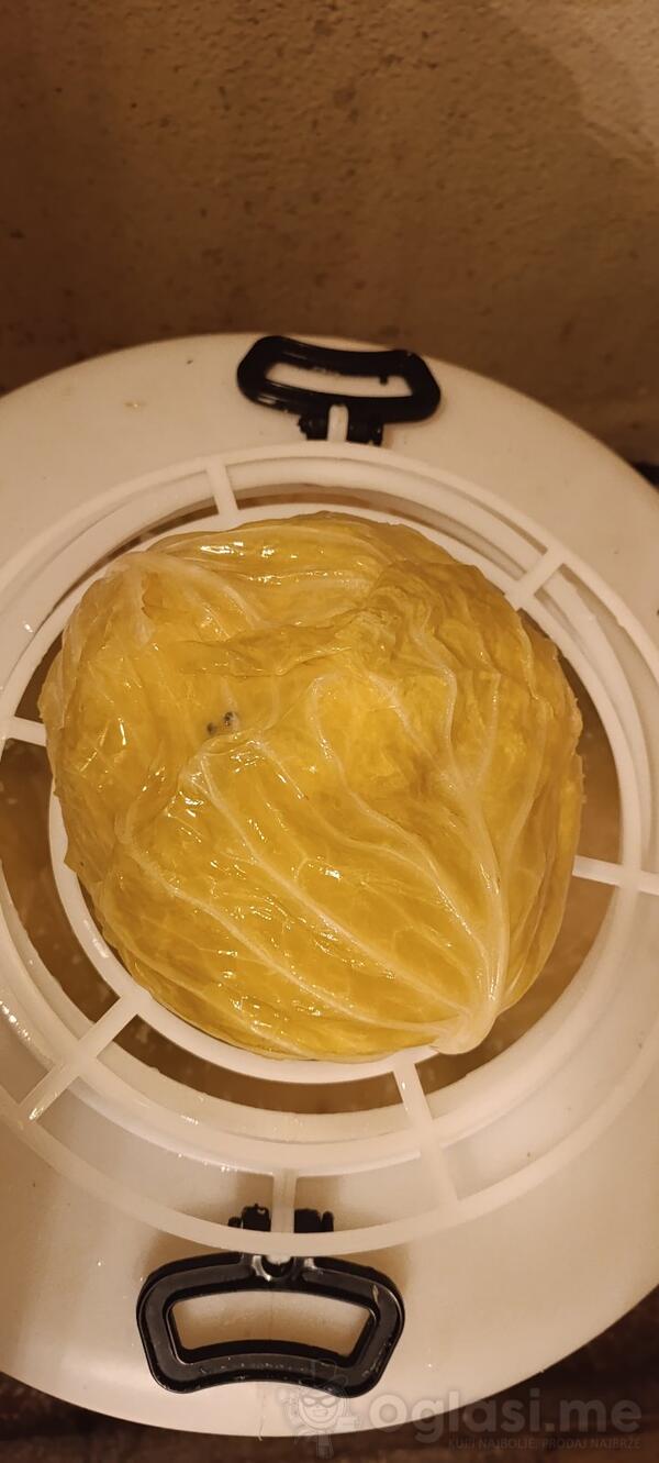 Prodajem domaci Ljeskopoljski kisjeli kupus