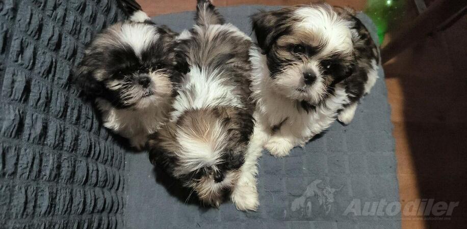 Prodajem stence si cua