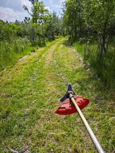 Krčim placeva, šeganje drva I košenje placeva 