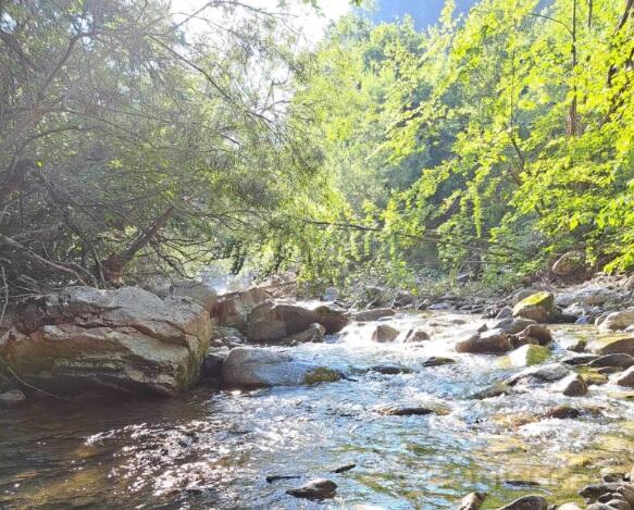 Poljoprivredno zemljište 1015m2 - Podgorica - Veruša