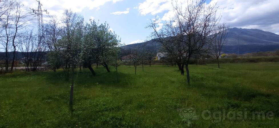 Građevinsko zemljište 2000m2 - Danilovgrad - Ćurilac