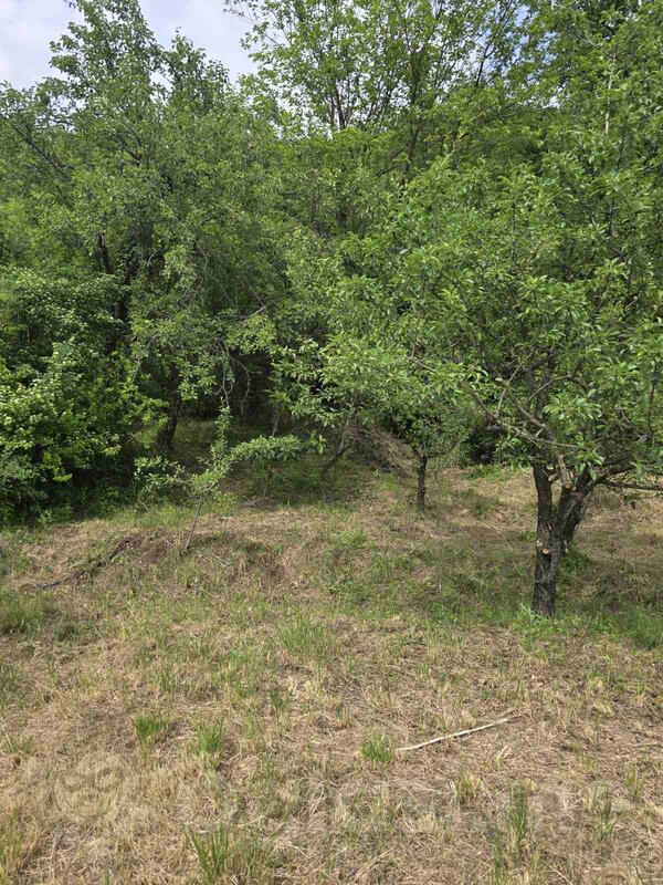 Poljoprivredno zemljište 11111m2 - Danilovgrad - > Okolina grada