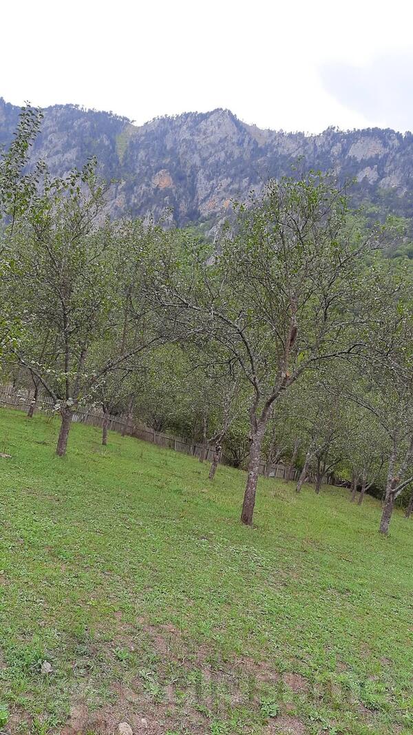 Poljoprivredno zemljište 4000m2 - Mojkovac - Dobrilovina
