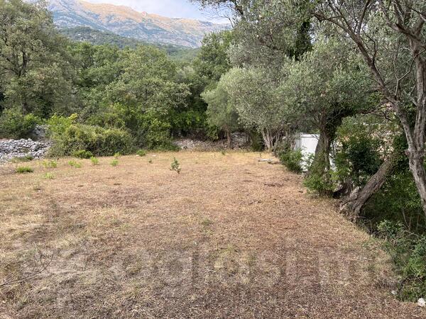 Poljoprivredno zemljište 826m2 - Kotor - Nalježići