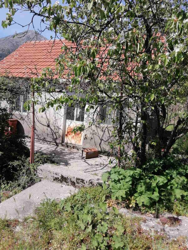 Poljoprivredno zemljište 33480m2 - Cetinje - Dobrsko Selo