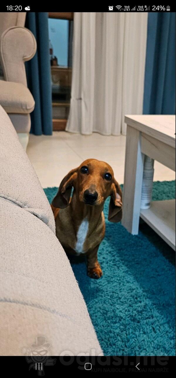 potreban muzijak za parenje