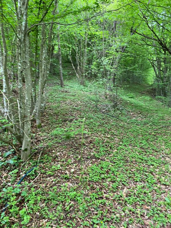 Poljoprivredno zemljište 13789m2 - Bijelo Polje - Pape