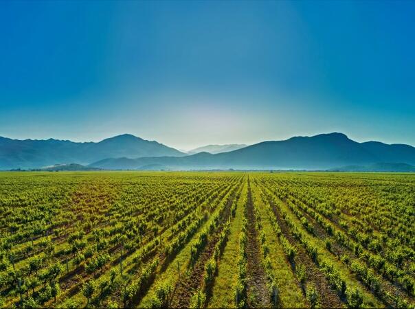 Građevinsko zemljište 480m2 - Podgorica - Gornja Gorica