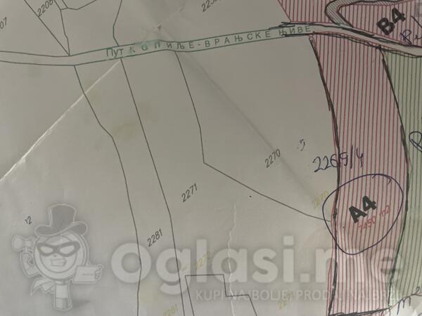 Poljoprivredno zemljište 7800m2 - Podgorica - > Okolina grada