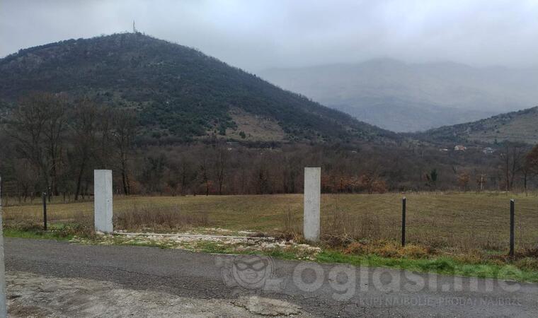 Poljoprivredno zemljište 7290m2 - Danilovgrad - Orja Luka
