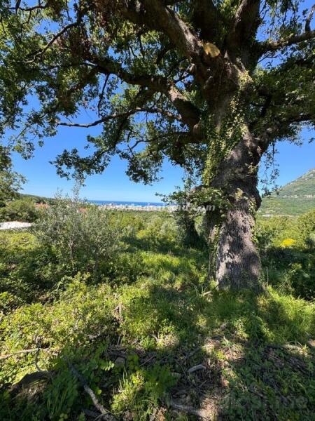 Građevinsko zemljište 4600m2 - Bar - Bjeliši