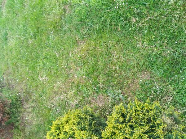 Poljoprivredno zemljište 430m2 - Podgorica - Beri