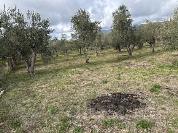 Građevinsko zemljište 1000m2 - Ulcinj - Ulcinjsko Polje