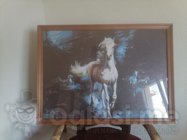 Uramljena Slika, Bijelog Konja