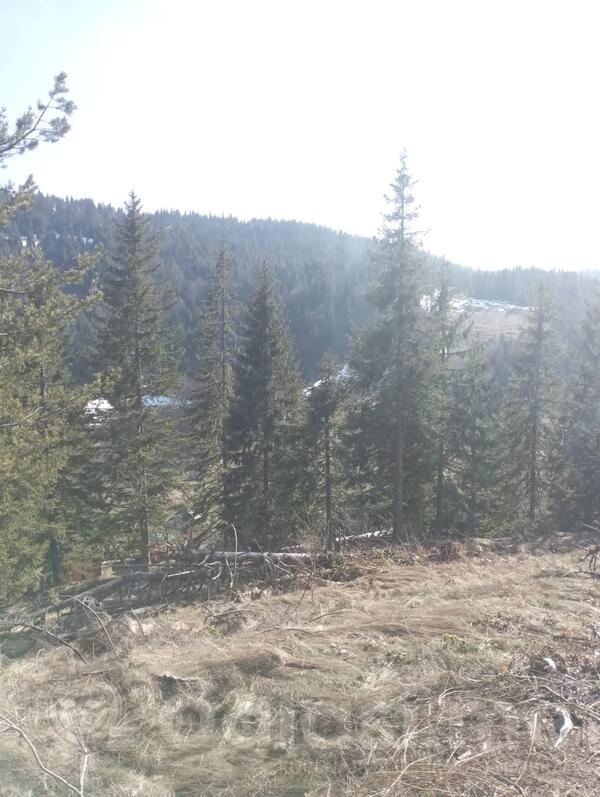 Građevinsko zemljište 500m2 - Berane - Lubnice