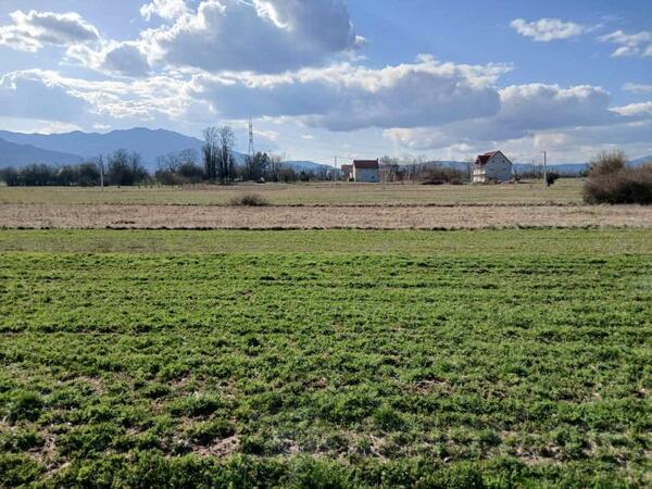 Građevinsko zemljište 3695m2 - Nikšić - Ozrinići