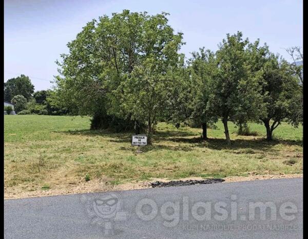 Poljoprivredno zemljište 2421m2 - Danilovgrad - Gorica