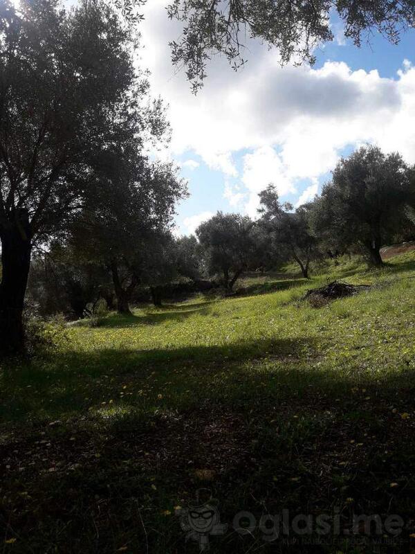 Poljoprivredno zemljište 8700m2 - Svi gradovi - GRC - Sve lokacije - GRC