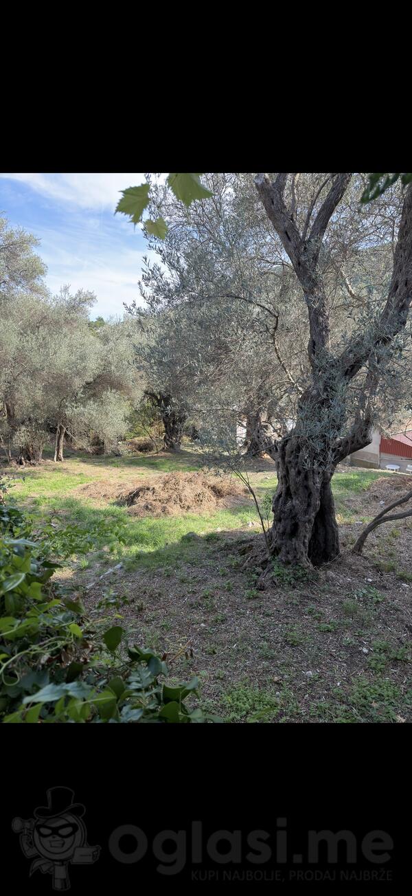 Građevinsko zemljište 500m2 - Ulcinj - Kruče