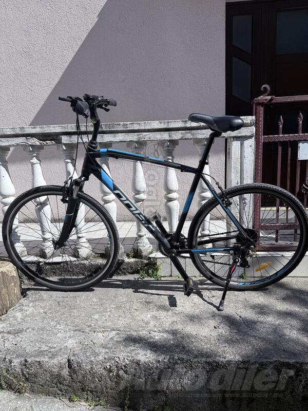 Polar - Forester Comp