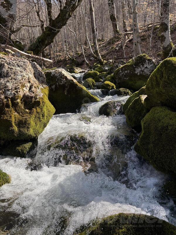 Građevinsko zemljište 4900m2 - Kolašin - Mioska