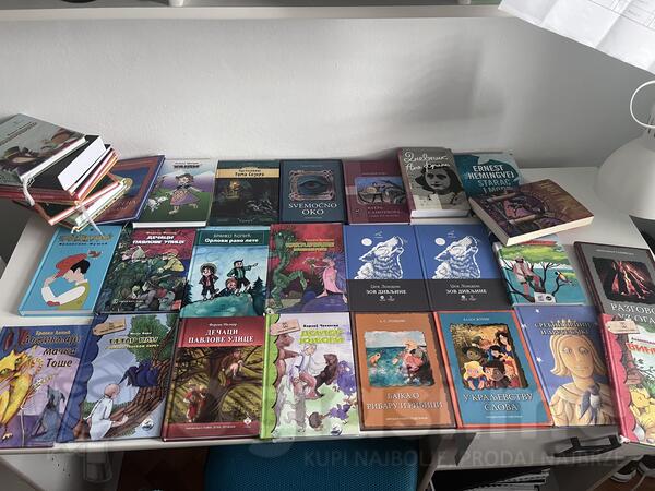 Razne lektire za školu