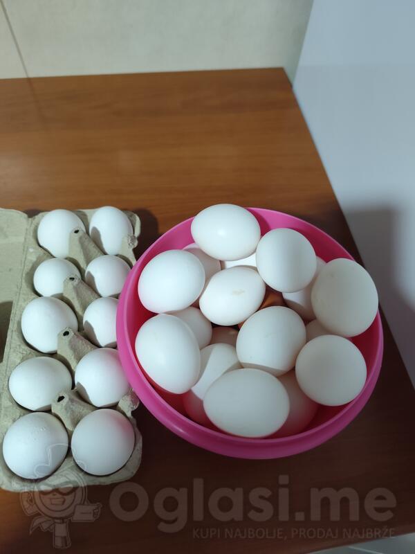 Prodajem domaca jaja