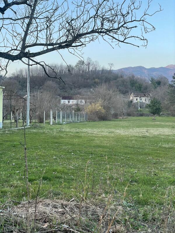 Poljoprivredno zemljište 16000m2 - Danilovgrad - Frutak