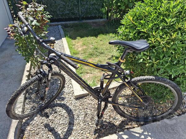 Scout - Scout Venera