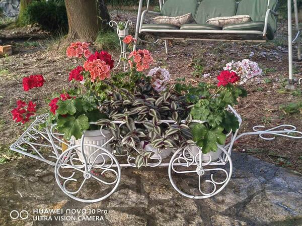 Ukrasna baštenska kolica