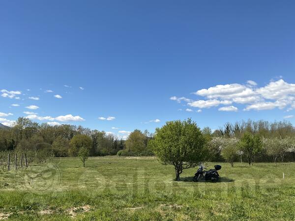 Poljoprivredno zemljište 2524m2 - Danilovgrad - Kopito