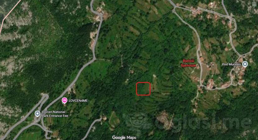 Poljoprivredno zemljište 5370m2 - Cetinje - Bjeloši