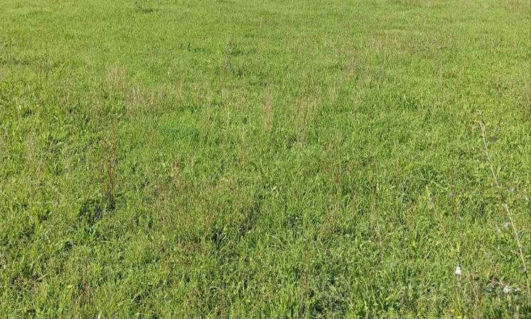 Građevinsko zemljište 415m2 - Podgorica - Tološi