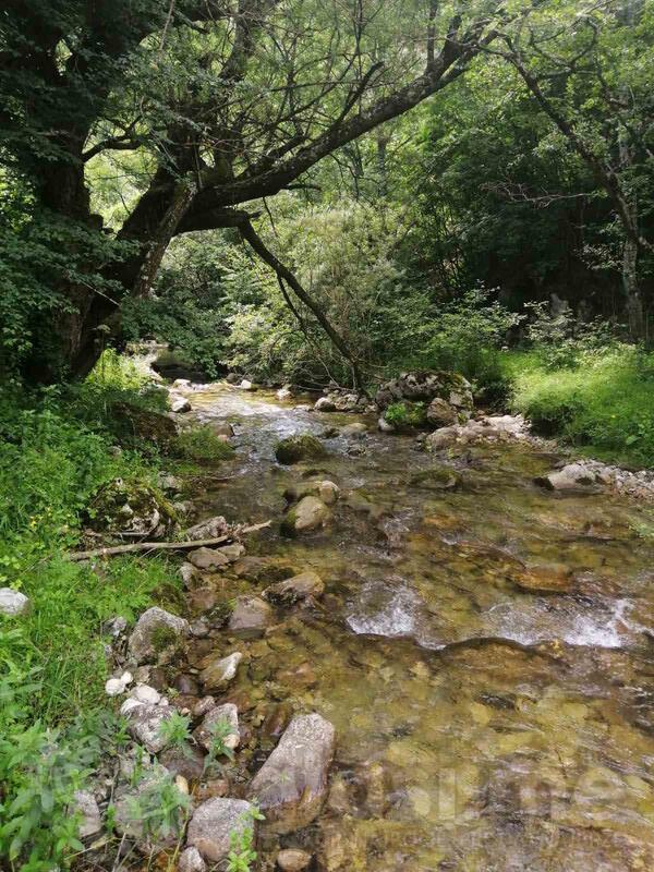 Poljoprivredno zemljište 260000m2 - Bijelo Polje - Muslići