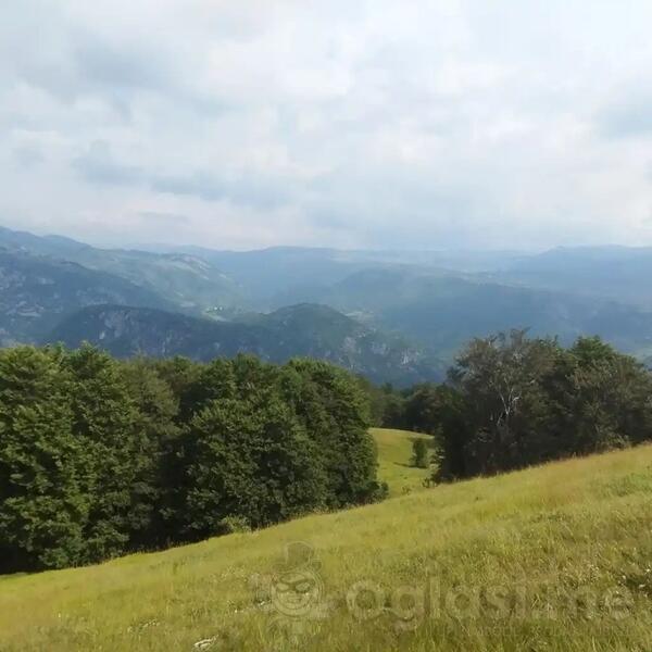 Poljoprivredno zemljište 88000m2 - Šavnik - Strug