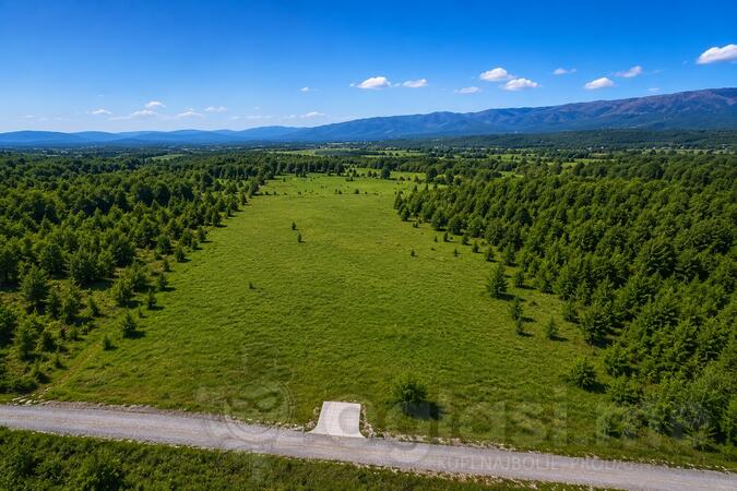 Građevinsko zemljište 5554m2 - Danilovgrad - Jastreb