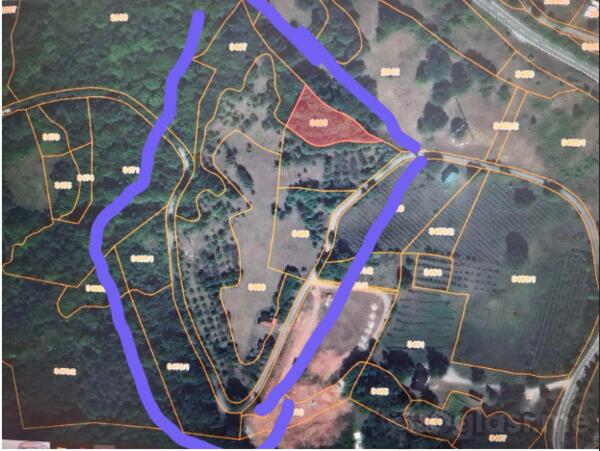 Poljoprivredno zemljište 20000m2 - Pljevlja - Pljevlja (uži dio)