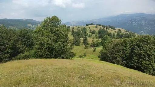 Poljoprivredno zemljište 88190m2 - Šavnik - Strug