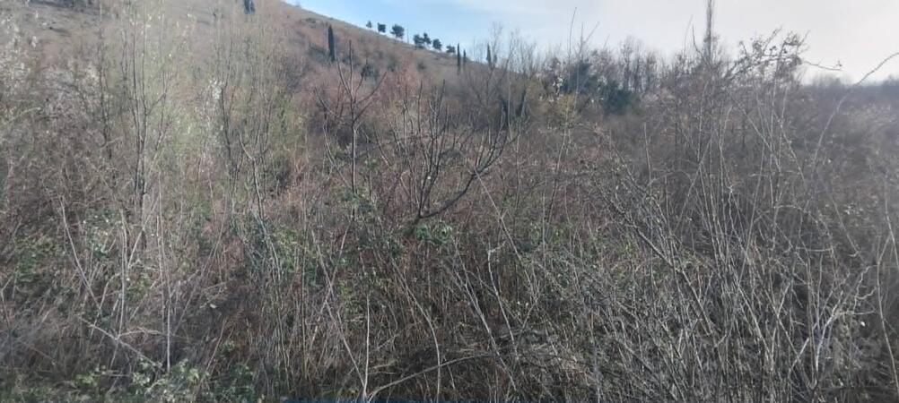 Poljoprivredno zemljište 2386m2 - Podgorica - Podgorica (uži dio)