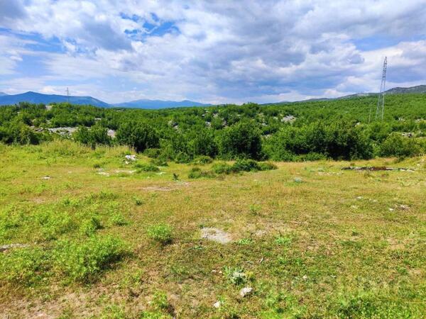 Građevinsko zemljište 1316m2 - Nikšić - > Okolina grada