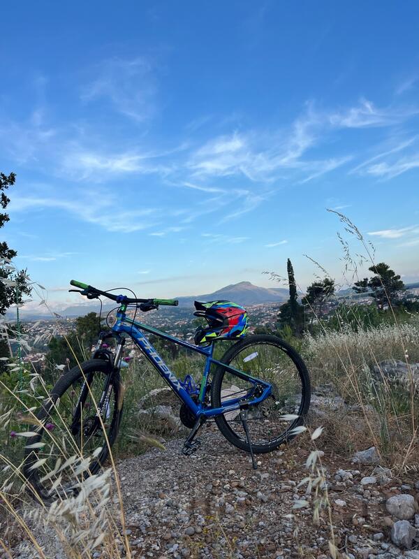Pinarello - phoenix