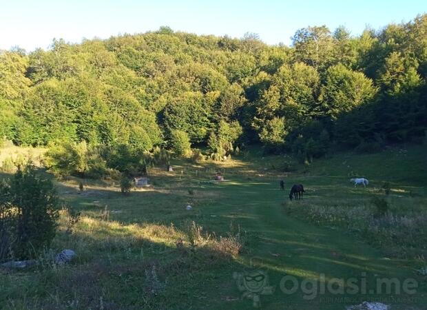 Poljoprivredno zemljište 6100m2 - Danilovgrad - Brijestovo