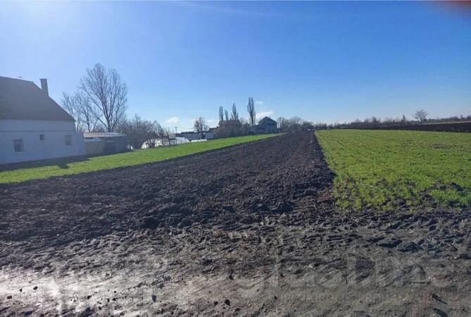 Građevinsko zemljište 2300m2 - Stara Pazova - Golubinci
