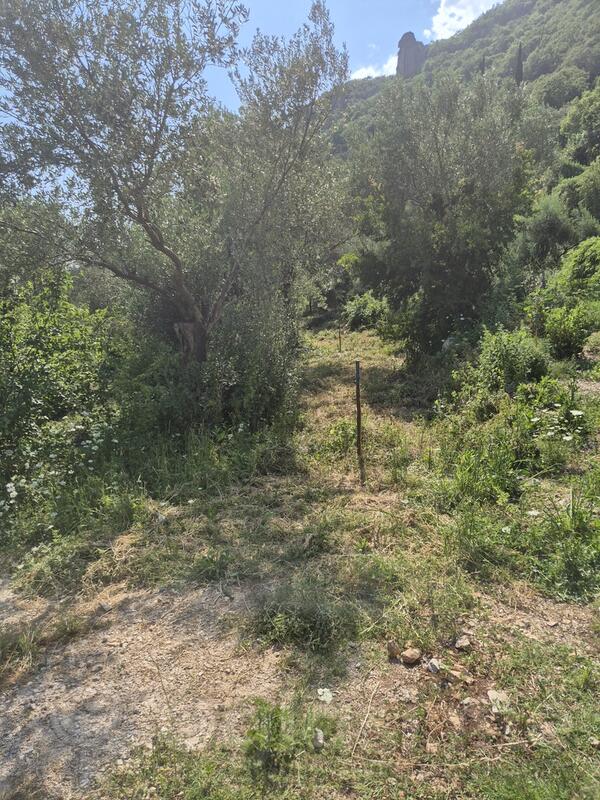 Građevinsko zemljište 400m2 - Herceg Novi - Herceg Novi (uži dio)